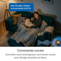 Ampoule Connectée 2-en-1 Multicolore et Dimmable