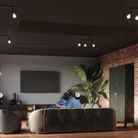 applique-murale-orientable-iris-plafond-salon